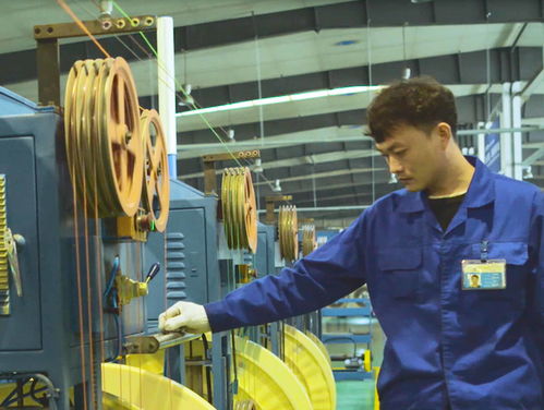 质量管控与技术服务 企业持续发展的双引擎